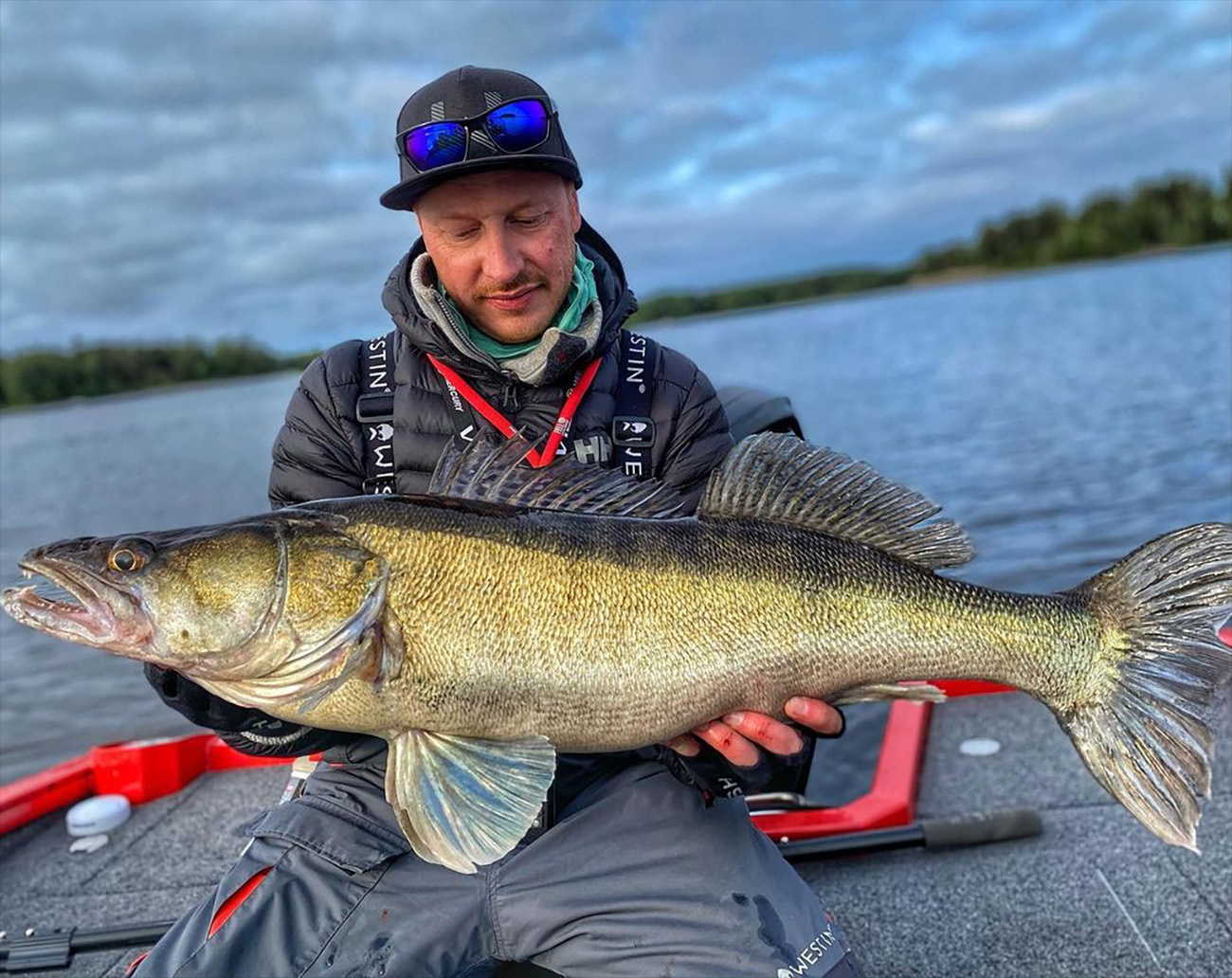 Attitude Baits DropShot Weights Ball